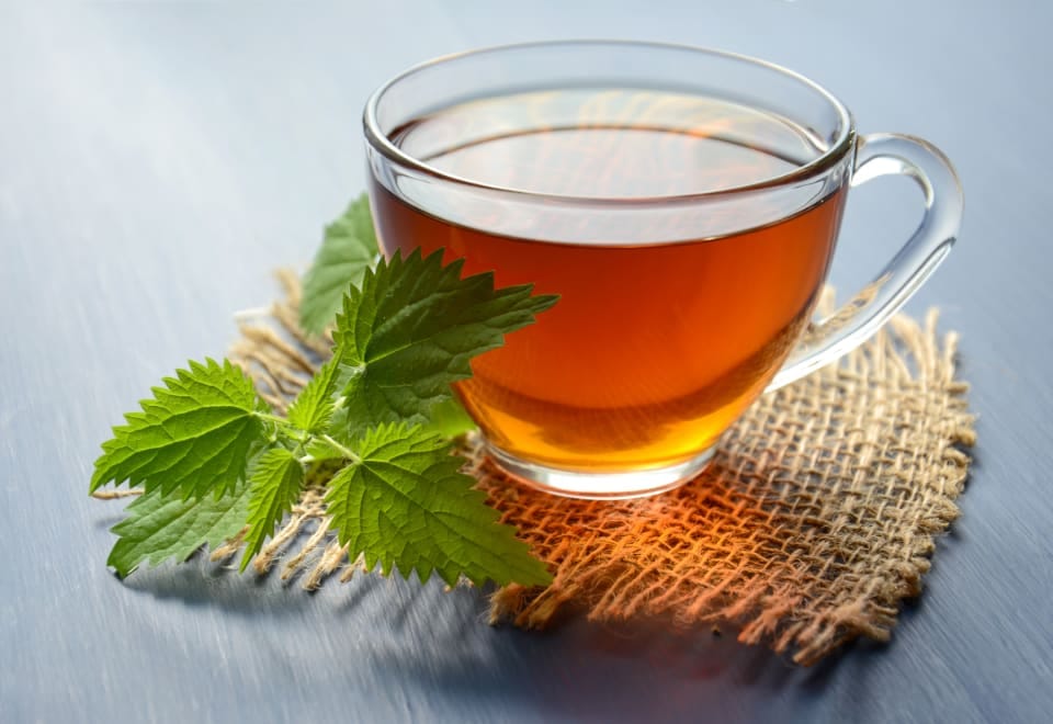 Kräutertee mit frischen Brennnesselblättern